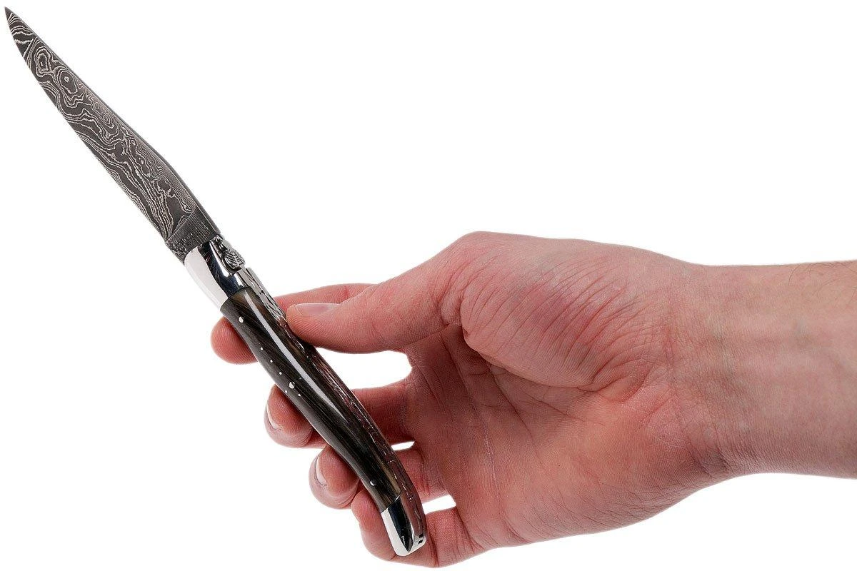 Laguiole En Aubrac 12 Cm Navaja Damascata, Full Handle Cuerno L0712PCI-FFI1 8 Laguiole En Aubrac 12 Cm Navaja Damascata, Full Handle Cuerno L0712PCI-FFI1 - Imagen 8