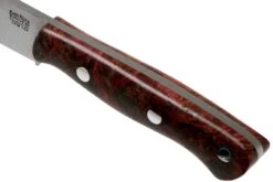 Bark River Mini Aurora CPM 154, Hellfire Maple Burl 11 Bark River Mini Aurora CPM 154, Hellfire Maple Burl -Tienda De Cuchillos BRK06 055HFM 05 bark river knives