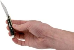 Case Peanut Rough Black Synthetic, 18225, 6220 SS Navaja 9 Case Peanut Rough Black Synthetic, 18225, 6220 SS Navaja -Tienda De Cuchillos CE18225 05 case