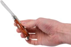 Case Mini Trapper Smooth Chestnut Bone, 28700, 6207 SS Navaja 17 Case Mini Trapper Smooth Chestnut Bone, 28700, 6207 SS Navaja -Tienda De Cuchillos CE28700 09 case ce28700 09