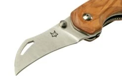 Fox Knives Spora Mushroom Satin Olive FX-409OL, Cuchillo Para Setas -Tienda De Cuchillos FOFX 409OL 03 foxknives
