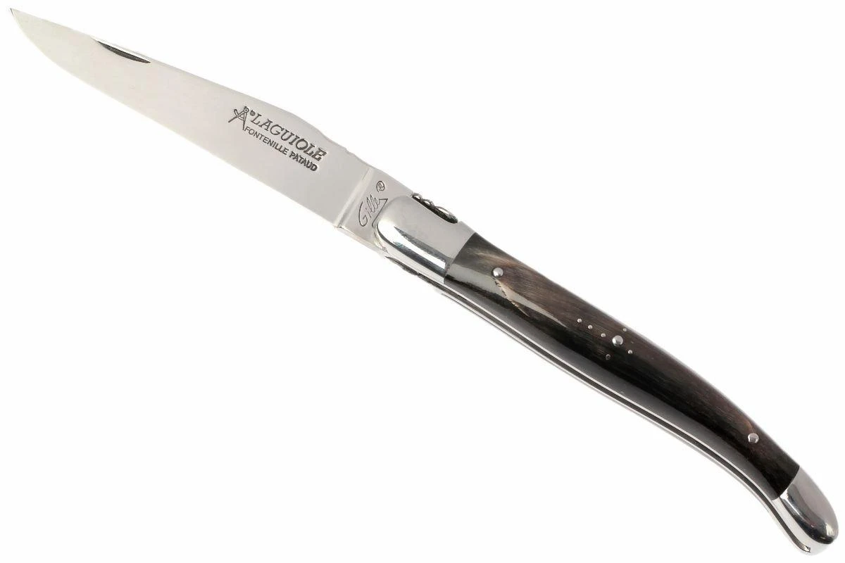 Fontenille Pataud L12PCN 1 Fontenille Pataud L12PCN