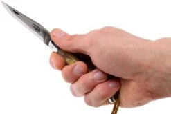 Forge Laguiole 12110INCABDF, Cuerno Aubrac -Tienda De Cuchillos LA12110INCABDF 07 forge de laguiole la12110incabdf 07