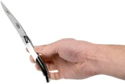 Forge Laguiole Airbus A350 1211 INAIRBUS Navaja Laguiole -Tienda De Cuchillos LA1211INAIRBUS 07 forge de laguiole