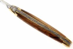 Forge Laguiole 1211PI, Madera De Pistache -Tienda De Cuchillos LA1211PI 04 forge de laguiole vouwmes la1211pi d4