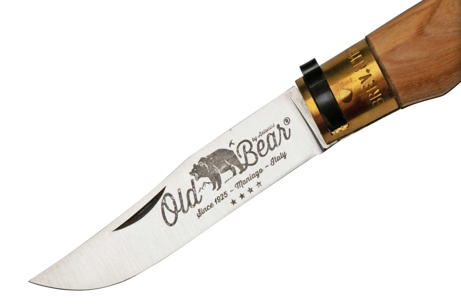 Old Bear Classical Olive L, 9307-21-LU Navaja 3 Old Bear Classical Olive L, 9307-21-LU Navaja - Imagen 3