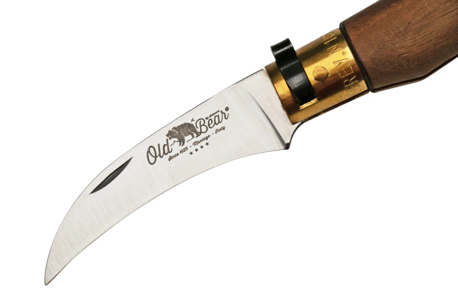 Old Bear Mushroom Walnut M, 9387-19-LN Cuchillo Para Setas 3 Old Bear Mushroom Walnut M, 9387-19-LN Cuchillo Para Setas - Imagen 3