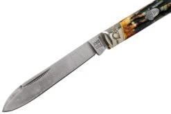 Rough Ryder Doctors Knife Cinnamon Stag RR2158 Damascus Navaja Slipjoint -Tienda De Cuchillos RY2158 03 rough ryder