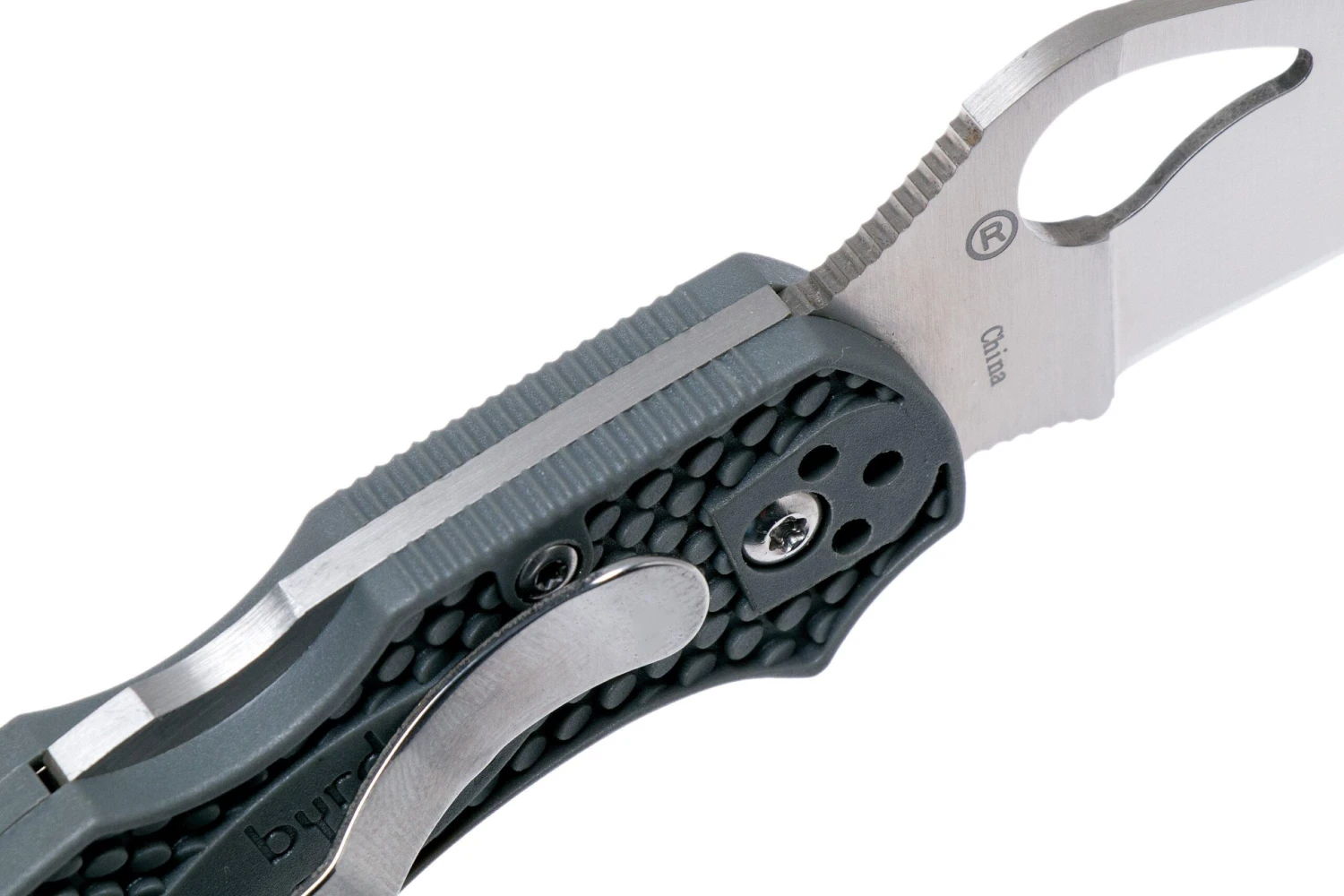 Spyderco Byrd Robin 2 Gris BY10PGY2 Navaja 5 Spyderco Byrd Robin 2 Gris BY10PGY2 Navaja - Imagen 5