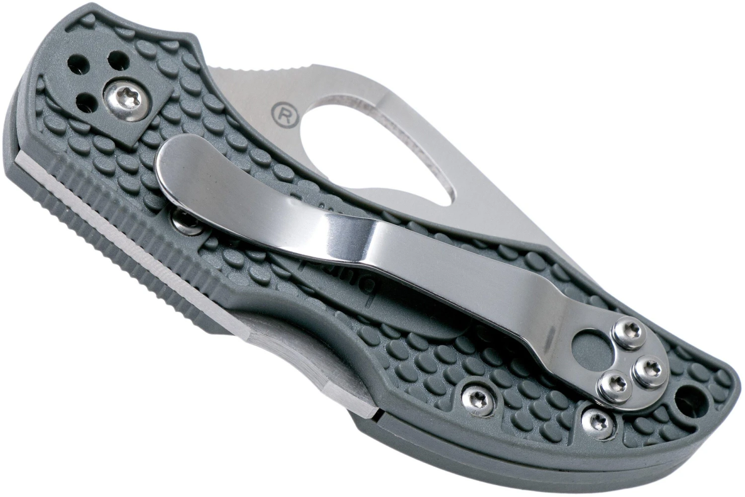 Spyderco Byrd Robin 2 Gris BY10PGY2 Navaja 7 Spyderco Byrd Robin 2 Gris BY10PGY2 Navaja - Imagen 7